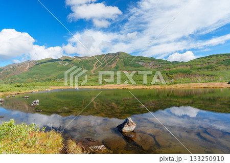 大雪山・沼の平の草紅葉と池塘の秋景色（北海道） 133250910