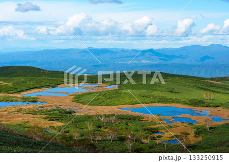大雪山・沼の平の草紅葉と池塘の秋景色（北海道） 133250915