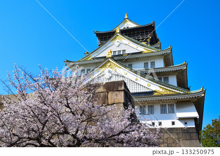 春 大阪城 春 大阪城 133250975