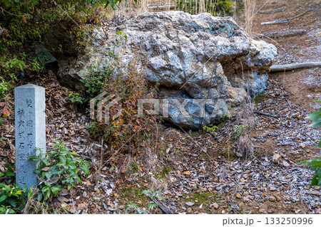 冬の双ヶ丘　双ヶ岡古墳群1号墳の羨道　京都府京都市右京区 133250996