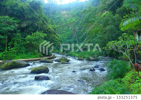 ロイヤルピタマハ The Royal Pita Maha｜高級ホテル リゾート バリ島ウブド 133251375