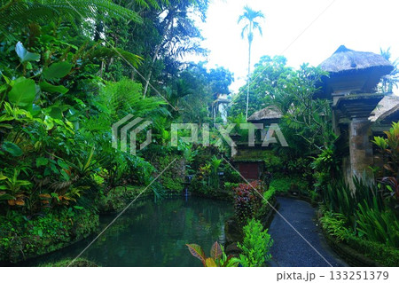 ロイヤルピタマハ The Royal Pita Maha｜高級ホテル リゾート バリ島ウブド 133251379