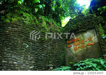 ロイヤルピタマハ The Royal Pita Maha|高級ホテル リゾート バリ島ウブド ロイヤルピタマハ The Royal Pita Maha|高級ホテル リゾート バリ島ウブド 133251437