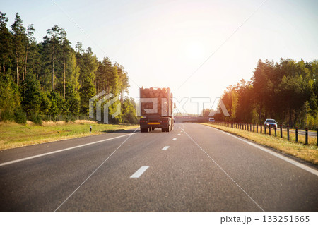 A logging truck with a semi-trailer transports forest logs along a country road in summer against the backdrop of a sunset. Forestry industry, business. Copy space for text 133251665