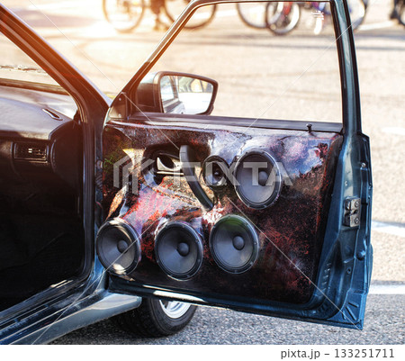 Custom Car Interior With A Modified Door Panel. Loud Audio System Integrated Into Automobile Door. 133251711