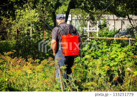 A summer resident treats plants in the summer from parasites. Plant protection from diseases, copy space for text, industry 133251779