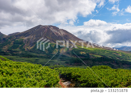 大雪山・旭岳を沼の平登山道から望む風景（北海道） 133251878