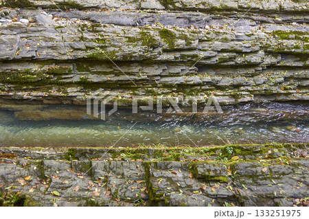 Stream flowing through rocky terrain with layers of moss and fallen leaves 133251975