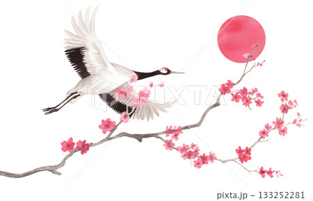 Japanese red crown crane flying above sakura and sun on the background. Watercolor handmade illustration. For fabric, wallpaper, greeting cards, design, decoration and illustration. 133252281