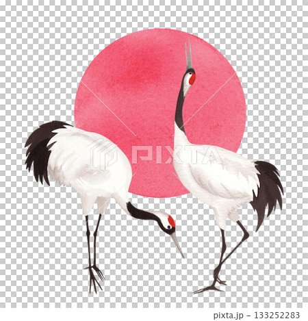 Two japanese red crown cranes with the sun on background. Watercolor handmade illustration. For fabric, wallpaper, greeting cards, design, decoration and illustration. Two japanese red crown cranes with the sun on background. Watercolor handmade illustration. For fabric, wallpaper, greeting cards, design, decoration and illustration. 133252283