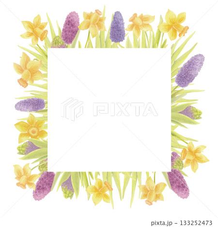 Spring garden flowers square frame. Hyacinths and daffodils watercolor illustration. 133252473