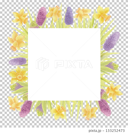 Spring garden flowers square frame. Hyacinths and daffodils watercolor illustration. 133252473