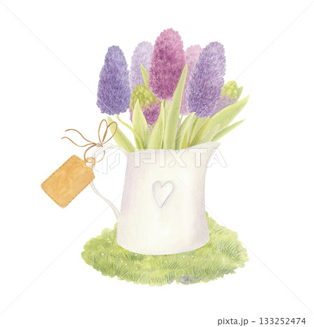 Purple hyacinths bouquet in vintage vase with tag. Watercolor isolated illustration. 133252474