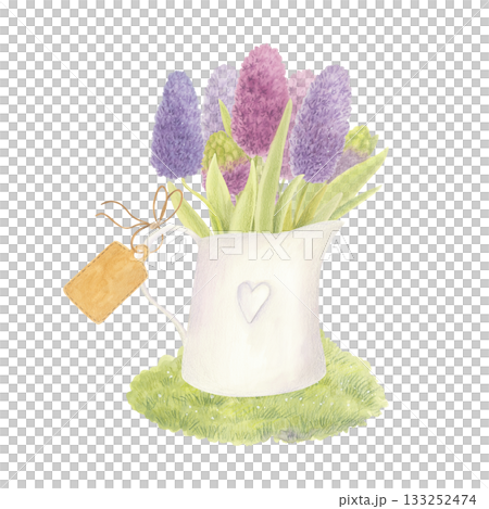 Purple hyacinths bouquet in vintage vase with tag. Watercolor isolated illustration. 133252474