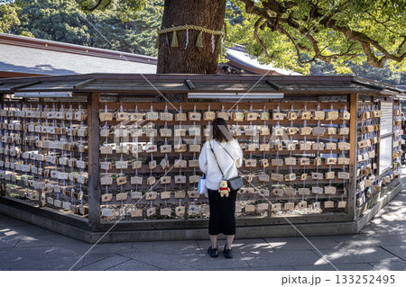 Woman praying with ema plaques at shinto shrine Woman praying with ema plaques at shinto shrine 133252495