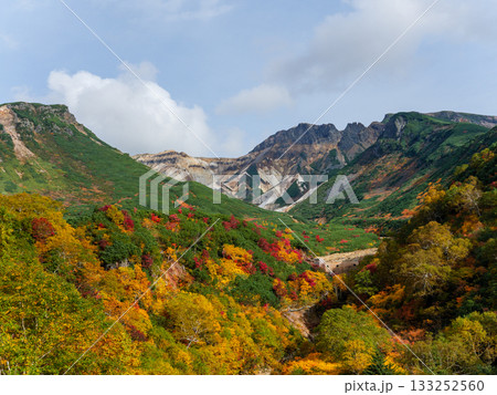 十勝岳温泉・凌雲閣から望む十勝岳の紅葉（北海道・上富良野） 133252560