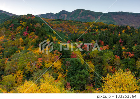 十勝岳温泉・凌雲閣から望む十勝岳の紅葉（北海道・上富良野） 133252564