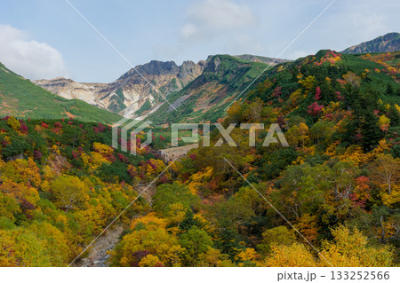 十勝岳温泉・凌雲閣から望む十勝岳の紅葉（北海道・上富良野） 133252566