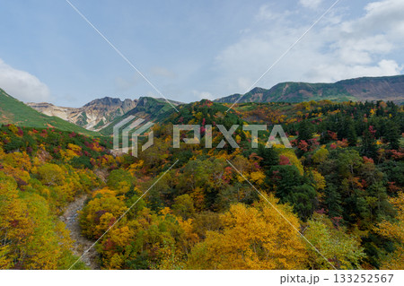 十勝岳温泉・凌雲閣から望む十勝岳の紅葉（北海道・上富良野） 133252567