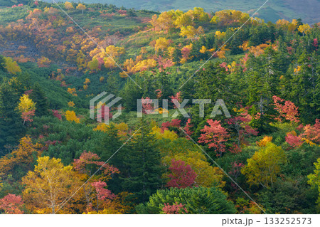 十勝岳温泉・凌雲閣から望む十勝岳の紅葉(北海道・上富良野) 十勝岳温泉・凌雲閣から望む十勝岳の紅葉(北海道・上富良野) 133252573