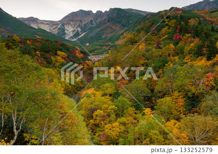 十勝岳温泉・凌雲閣から望む十勝岳の紅葉(北海道・上富良野) 十勝岳温泉・凌雲閣から望む十勝岳の紅葉(北海道・上富良野) 133252579