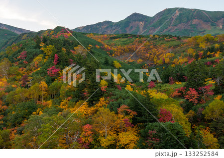 十勝岳温泉・凌雲閣から望む十勝岳の紅葉（北海道・上富良野） 133252584
