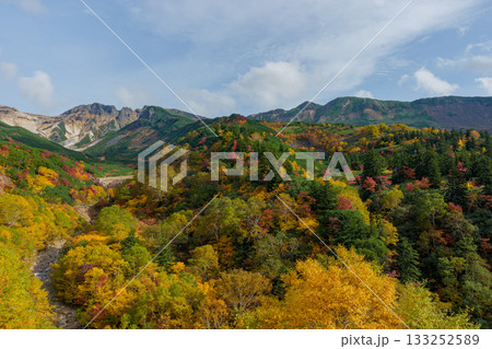 十勝岳温泉・凌雲閣から望む十勝岳の紅葉（北海道・上富良野） 133252589