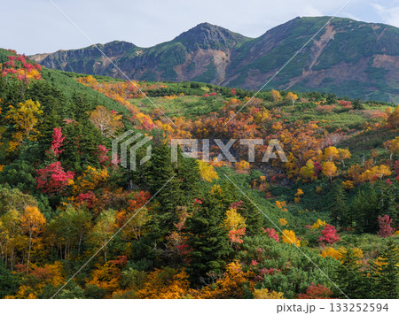 十勝岳温泉・凌雲閣から望む十勝岳の紅葉（北海道・上富良野） 133252594