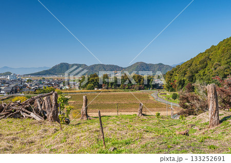 安土城跡横の伐採林　滋賀県近江八幡市 133252691