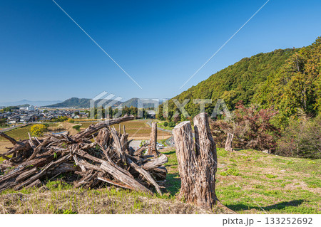 安土城跡横の伐採林　滋賀県近江八幡市 133252692