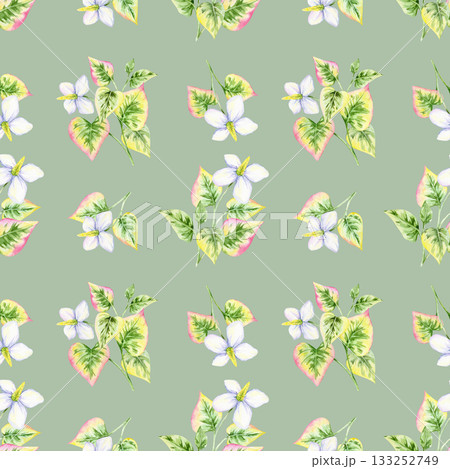 Green seamless background with watercolor illustration of white flowers and pink-green heart leaves, hand drawn. Suitable for fabric, wallpaper, packaging, and digital paper craft projects. Green seamless background with watercolor illustration of white flowers and pink-green heart leaves, hand drawn. Suitable for fabric, wallpaper, packaging, and digital paper craft projects. 133252749