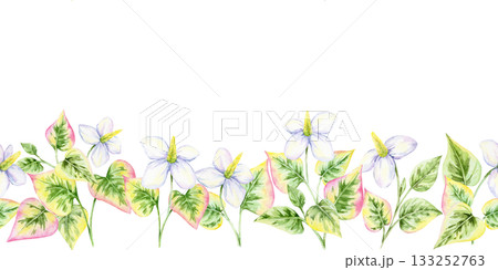 Seamless horizontal border of green heart-shaped leaves with white flowers, watercolor illustration, hand drawn. Great for invitations, stationery edges, decorative frames, and banners 133252763