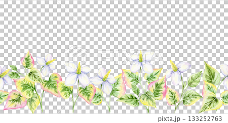 Seamless horizontal border of green heart-shaped leaves with white flowers, watercolor illustration, hand drawn. Great for invitations, stationery edges, decorative frames, and banners 133252763