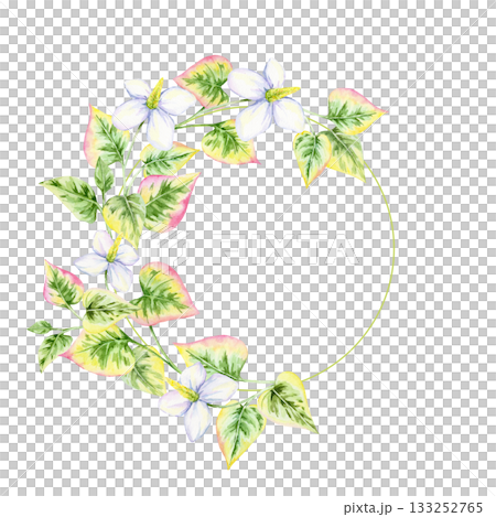 Delicate circle wreath of watercolor illustration leaves in green and pink with white blooms, hand drawn. Useful for wedding stationery, labels, branding, and elegant nature-inspired prints Delicate circle wreath of watercolor illustration leaves in green and pink with white blooms, hand drawn. Useful for wedding stationery, labels, branding, and elegant nature-inspired prints 133252765