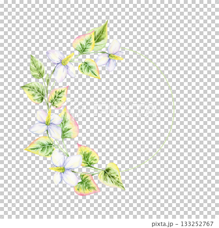 Floral half-wreath with white petals and pink-green leaves, watercolor illustration, hand drawn. This botanical border works for monograms, wedding stationery, branding, and decorative prints 133252767