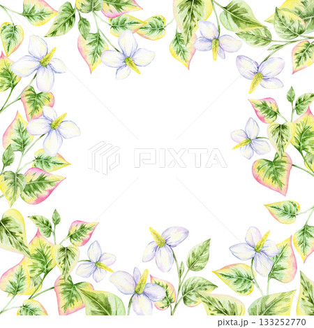 Botanical border of white flowers and variegated heart-shaped leaves in green and pink, watercolor illustration, hand drawn. Great for wedding stationery, greeting cards, or poster designs 133252770