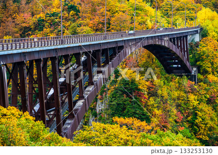 城ヶ倉大橋の紅葉【青森県青森市】 133253130