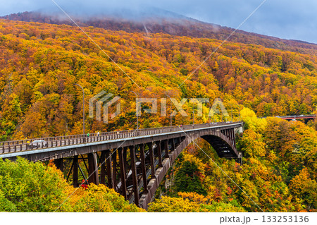 城ヶ倉大橋の紅葉【青森県青森市】 133253136