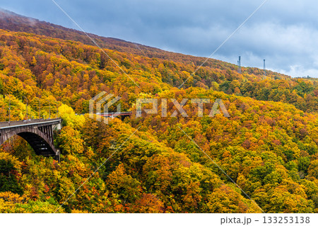 城ヶ倉大橋の紅葉【青森県青森市】 133253138
