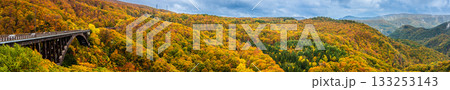 城ヶ倉大橋の紅葉 パノラマ【青森県青森市】 城ヶ倉大橋の紅葉 パノラマ【青森県青森市】 133253143