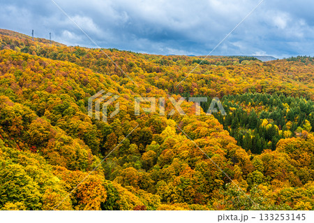 城ヶ倉大橋の紅葉【青森県青森市】 133253145
