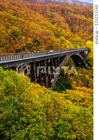 城ヶ倉大橋の紅葉【青森県青森市】 133253148