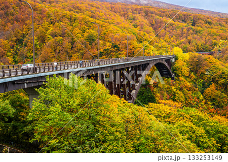城ヶ倉大橋の紅葉【青森県青森市】 133253149