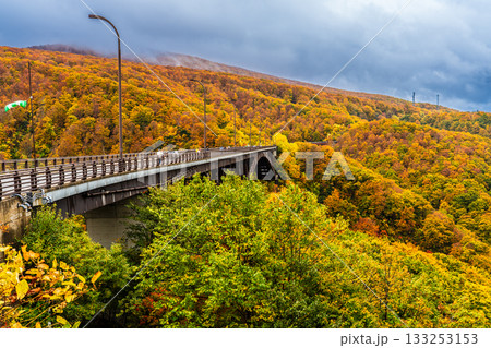 城ヶ倉大橋の紅葉【青森県青森市】 133253153