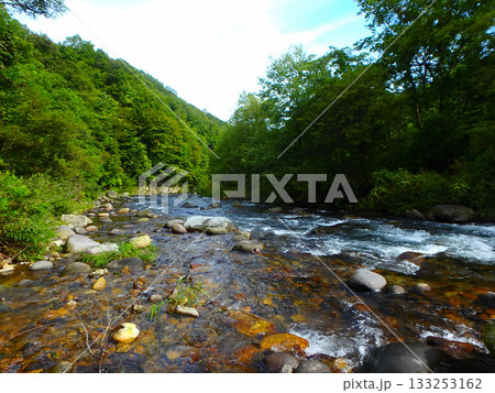 9月上旬、秋神川の流れに挑む釣り人の視線 133253162