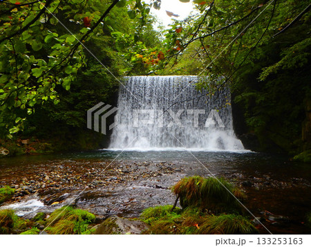 9月下旬、秋神川の堰堤下で待つ一尾 9月下旬、秋神川の堰堤下で待つ一尾 133253163