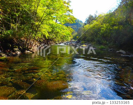 禁漁前、秋神川の澄んだ流れに立つ 禁漁前、秋神川の澄んだ流れに立つ 133253165