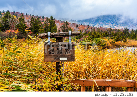 睡蓮沼の紅葉【青森県青森市】 睡蓮沼の紅葉【青森県青森市】 133253182