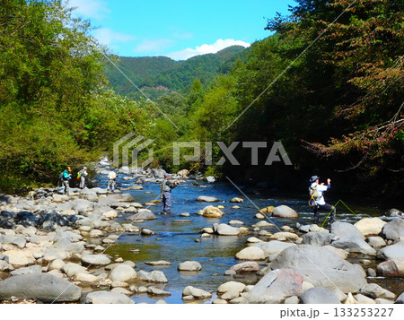 秋晴れの西野川、竿を振る静かなフライフィッシングの時間 133253227