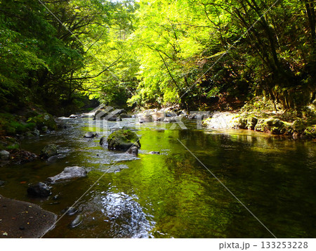 木曽・開田高原の末川、釣り人が見た季節の終わり 133253228